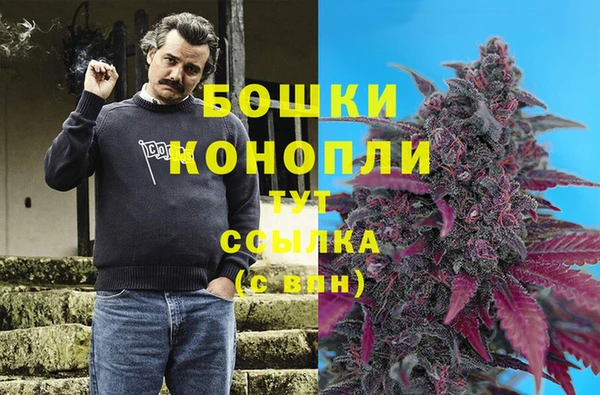 ПСИЛОЦИБИНОВЫЕ ГРИБЫ Ростов