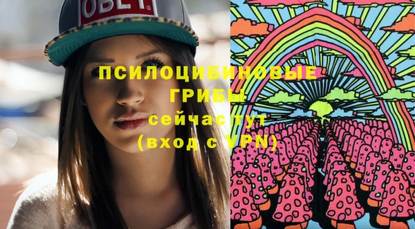 ПСИЛОЦИБИНОВЫЕ ГРИБЫ Ростов