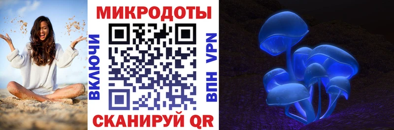 OMG   Арсеньев  Галлюциногенные грибы MAGIC MUSHROOMS 